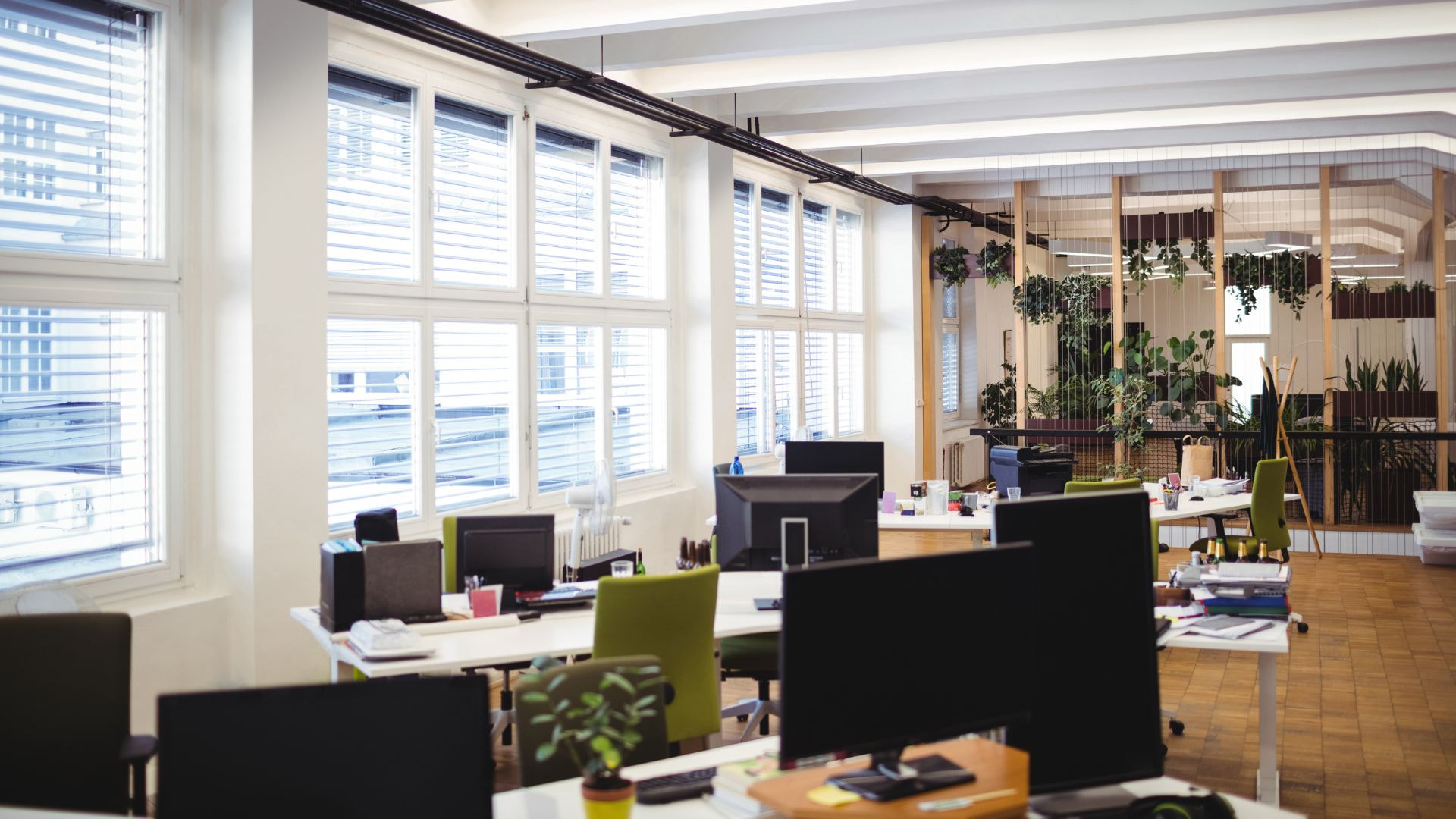 Tiêu âm văn phòng mở