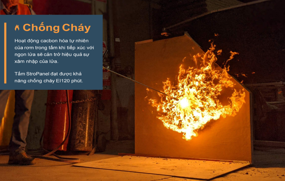 Lien Son Acoustic Engineering - Costamigo Phan Thiết