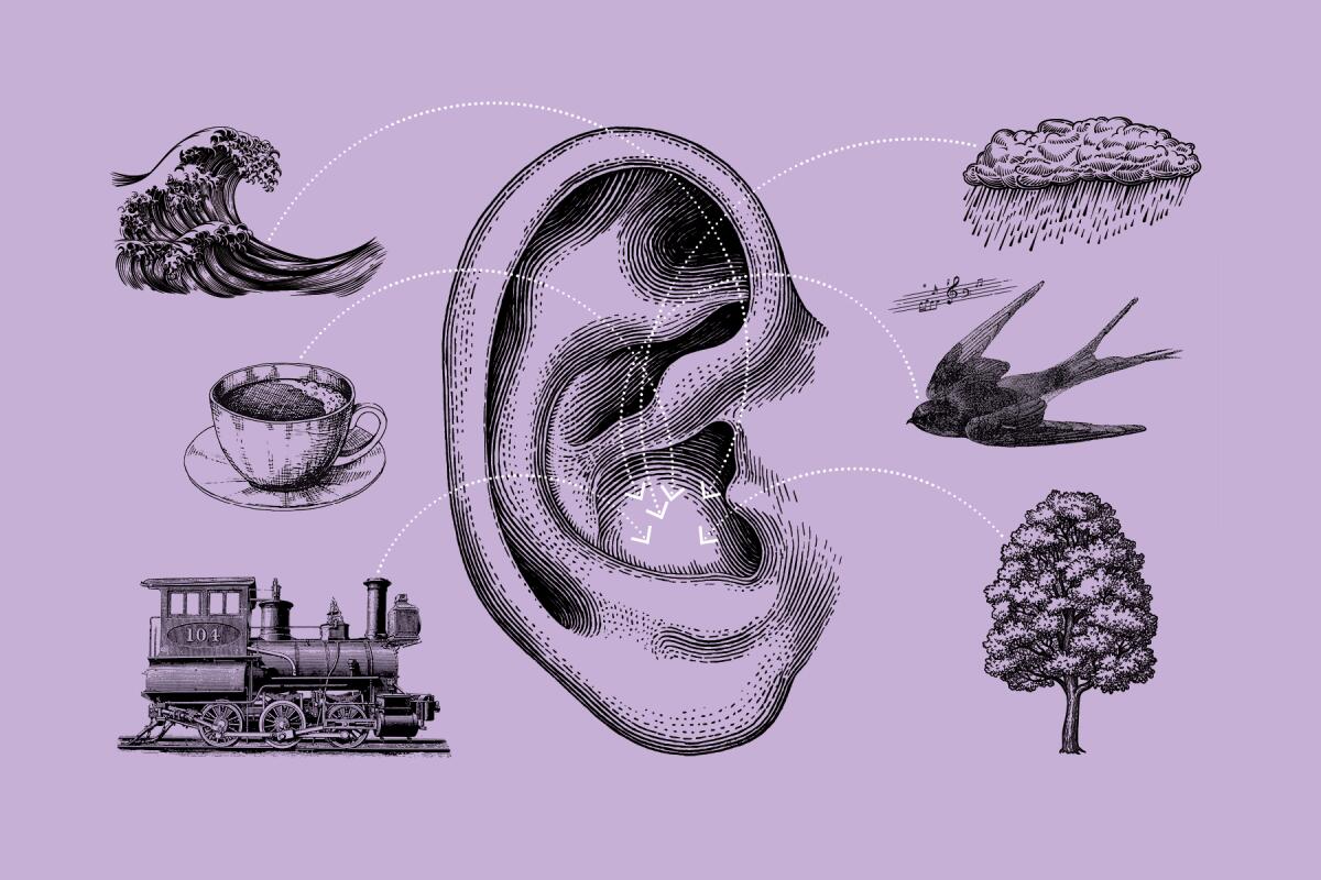 Liên Sơn Acoustic Engineering