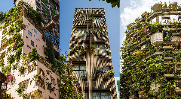Silent Architecture tại Việt Nam