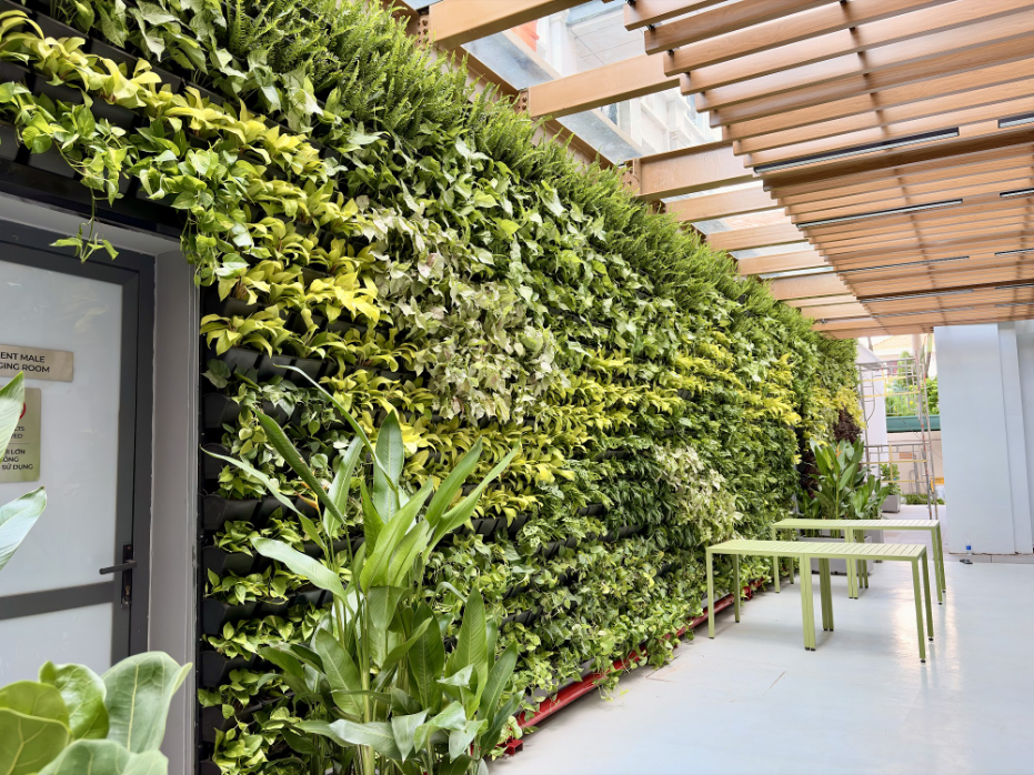 Tường cây xanh cạnh canopy